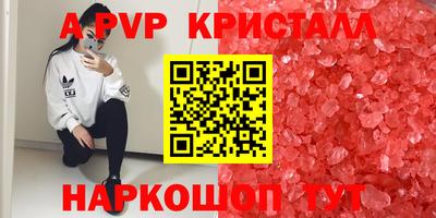 прущие грибы Конаково