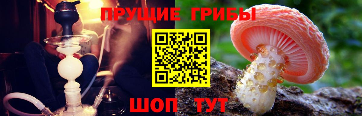 наркошоп  Вход с VPN  Шарыпово  Псилоцибиновые грибы прущие грибы  Псилоцибиновые грибы мухоморы 